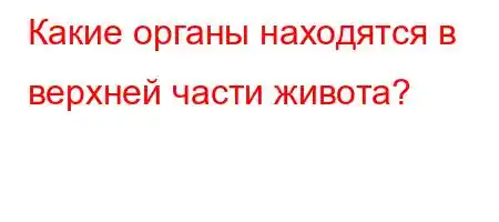 Какие органы находятся в верхней части живота?